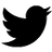 twitter Icon